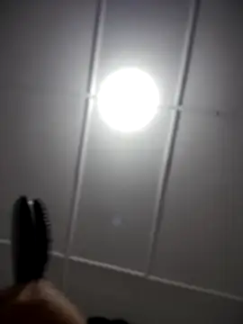 Snapshot of Lia_flowers chatting on 11.02.25 Lia flowers online show from 11.02.25