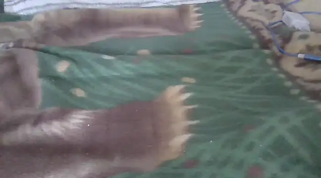 Snapshot of zorritasuperhot chatting on 02.09.25 zorritasuperhot online show from 02.09.25