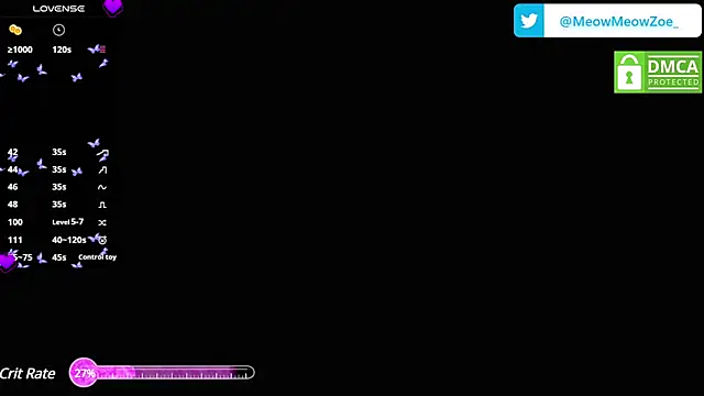 Snapshot of MeowMeowZoe chatting on 01.17.25 MeowMeowZoe online show from 01.17.25