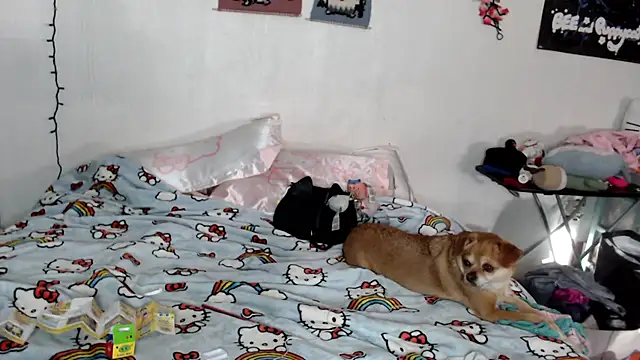 Cupcakecutie449 online show from 03.05.26