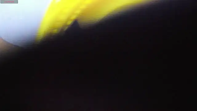 Alice bloom  online show from 01.13.26