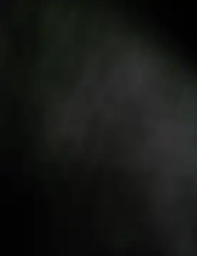 Snapshot of deshifuckers chatting on 12.15.24 deshifuckers online show from 12.15.24
