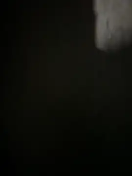 Yurt000 online show from 01.29.25