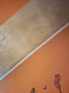 ducicsajsziii online show from 12.19.25