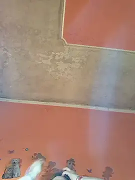 ducicsajsziii online show from 04.22.26