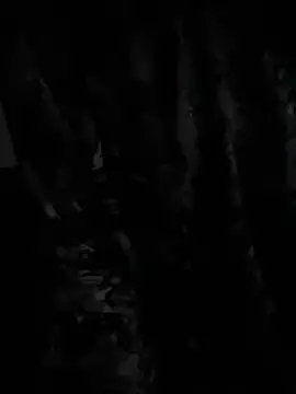 Snapshot of demonslayerr999 chatting on 12.23.24 demonslayerr999 online show from 12.23.24