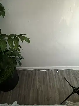 Snapshot of demonslayerr999 chatting on 02.26.25 demonslayerr999 online show from 02.26.25