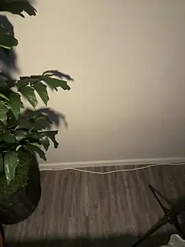 Snapshot of demonslayerr999 chatting on 03.11.25 demonslayerr999 online show from 03.11.25