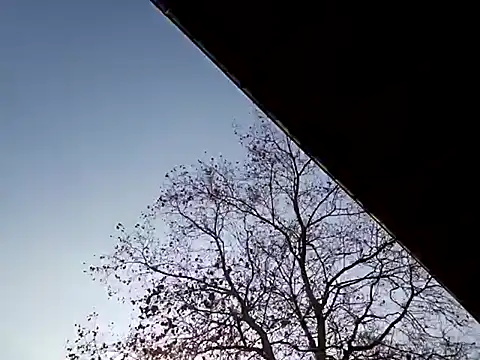 Mia Railey online show from 03.07.25