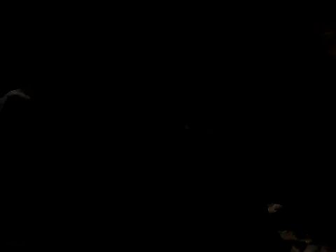 Nawtyslaveteen online show from 11.24.25