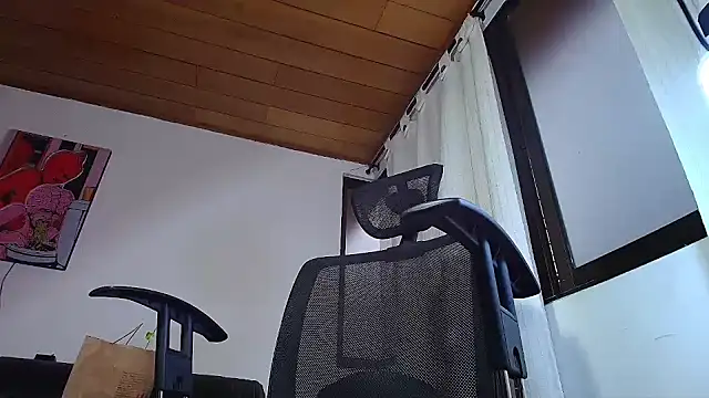 Snapshot of ADONIS_ART01 chatting on 12.28.24 ADONIS ART01 online show from 12.28.24