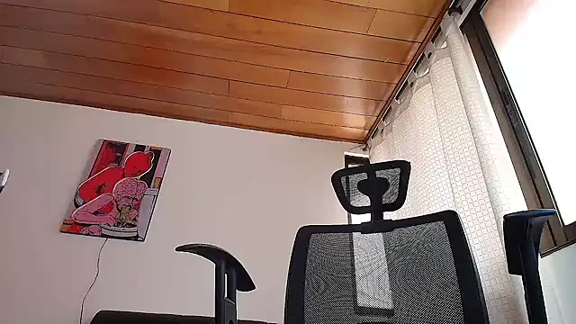 Snapshot of ADONIS_ART01 chatting on 01.05.25 ADONIS ART01 online show from 01.05.25