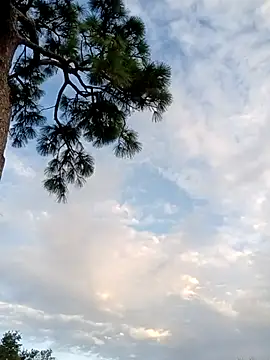 Snapshot of Hotbodyscottie chatting on 10.05.25 Hotbodyscottie online show from 10.05.25