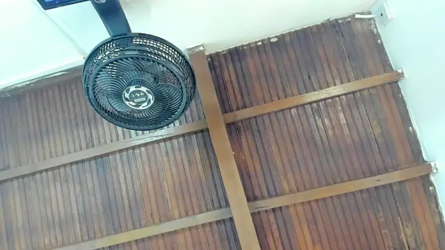 emily-fox online show from 04.21.26