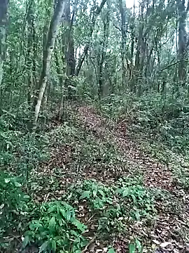 Snapshot of OFICINA_Simas-Turbo chatting on 09.20.25 OFICINA Simas-Turbo online show from 09.20.25