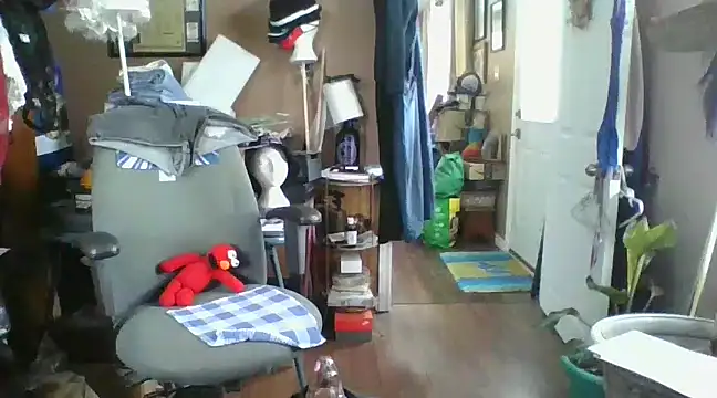 Snapshot of Daremeknot chatting on 12.05.24 Daremeknot online show from 12.05.24