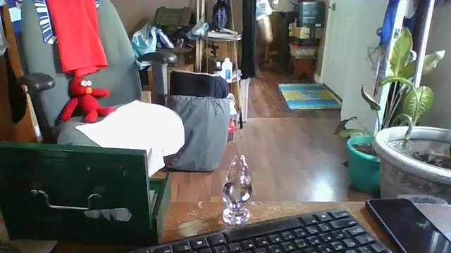 Snapshot of Daremeknot chatting on 12.30.24 Daremeknot online show from 12.30.24