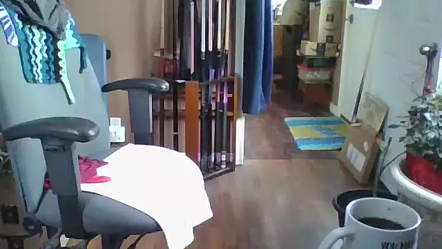 Snapshot of Daremeknot chatting on 02.26.25 Daremeknot online show from 02.26.25