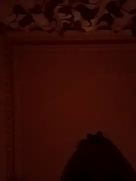 Snapshot of comeonlasys chatting on 01.05.25 comeonlasys online show from 01.05.25