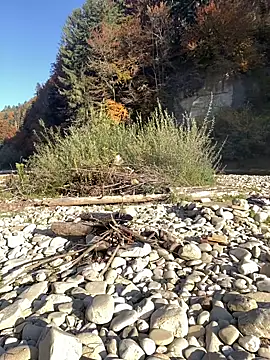 Snapshot of artXhibitor chatting on 10.18.25 artXhibitor online show from 10.18.25