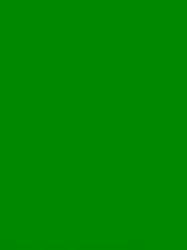 AurorHarris online show from 12.18.24