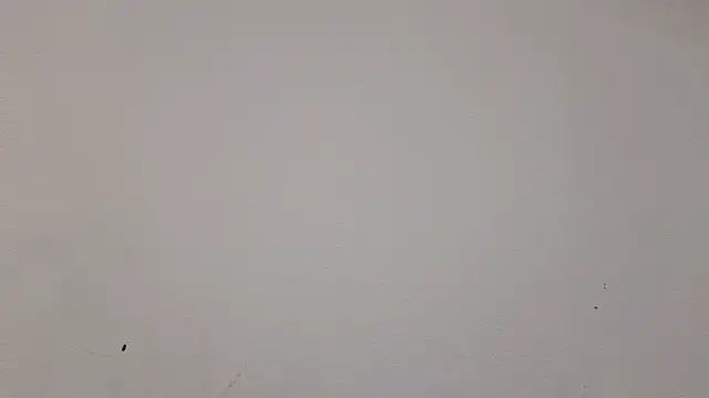   Nina online show from 02.19.25