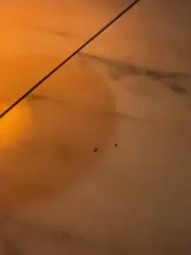 Mia Novikov online show from 03.07.26