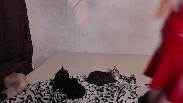 Olivia Winston online show from 11.30.25