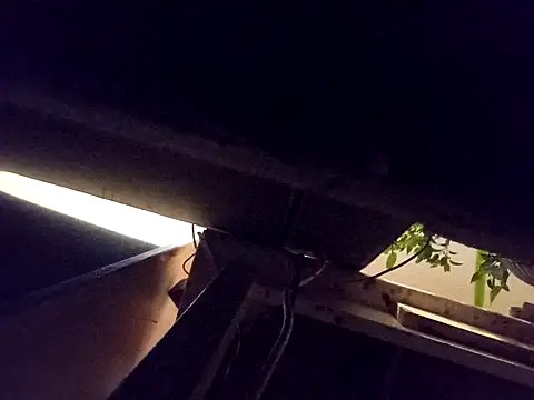 Daminou28 online show from 10.19.25