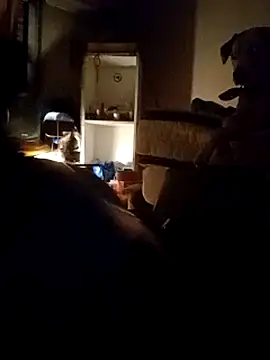 gala2 online show from 03.14.25