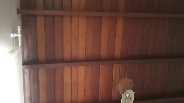 Snapshot of bombomepimenta chatting on 10.12.25 bombomepimenta online show from 10.12.25