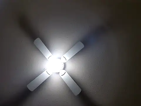 EXOTICLEXXXI online show from 01.26.25