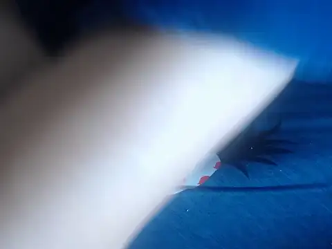 Snapshot of 69loveme09 chatting on 02.04.25 69loveme09 online show from 02.04.25