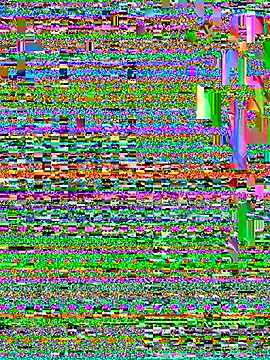 CamelliaLong online show from 04.08.26