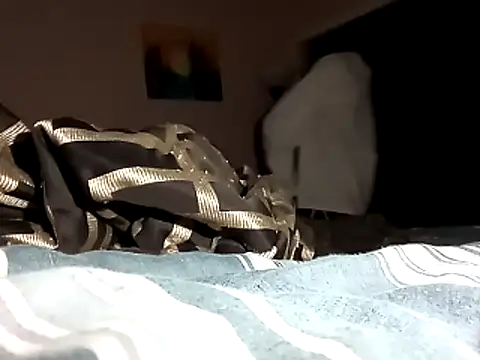 Snapshot of Blkstylion chatting on 11.01.25 Blkstylion online show from 11.01.25