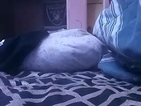 Snapshot of Blkstylion chatting on 02.05.26 Blkstylion online show from 02.05.26