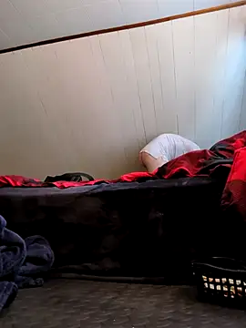 nicedicknicetats online show from 02.08.26