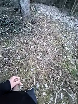 Snapshot of Picknick84 chatting on 03.21.25 Picknick84 online show from 03.21.25