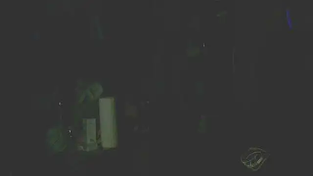 perversalus online show from 12.14.25