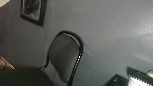 Dogz n daugthers online show from 02.02.25