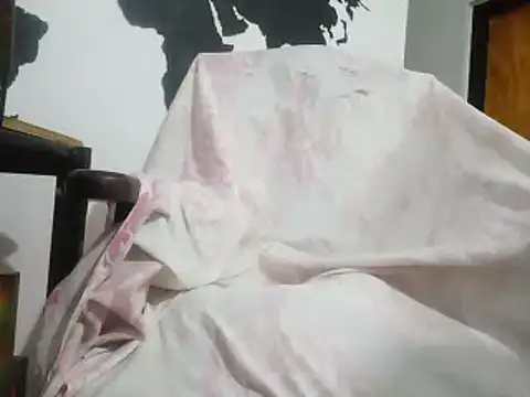 Snapshot of aritolapiz chatting on 01.31.26 aritolapiz online show from 01.31.26