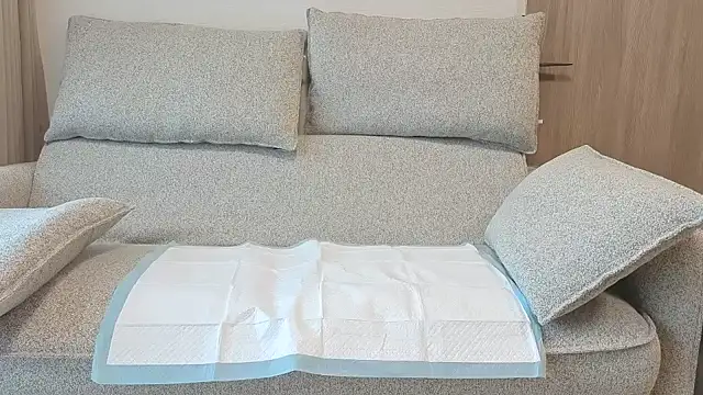 Ema japanese online show from 11.20.25