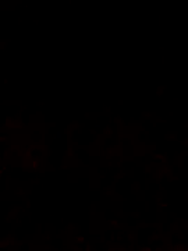 Adee21e online show from 10.12.25