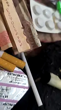 trans511 online show from 04.11.26