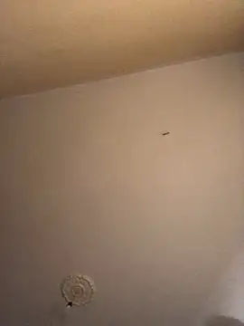 ClatteryPrexy online show from 12.16.24