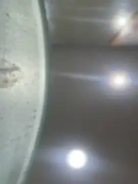 Mila Morgan online show from 01.23.25