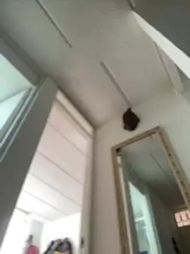 Mila Morgan online show from 02.27.25