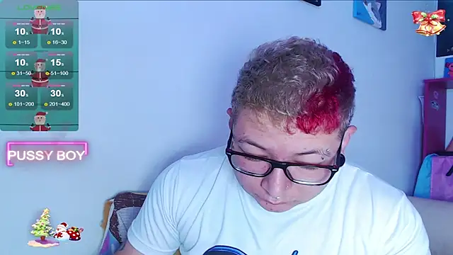 Snapshot of princeFtm chatting on 12.29.24 princeFtm online show from 12.29.24