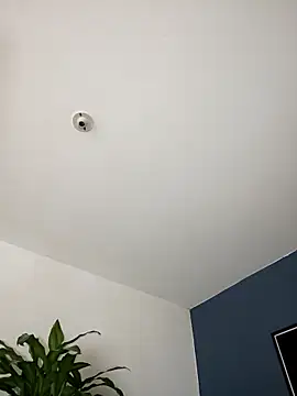 Snapshot of SilvaBranko chatting on 11.02.25 SilvaBranko online show from 11.02.25