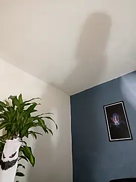 Snapshot of SilvaBranko chatting on 11.04.25 SilvaBranko online show from 11.04.25